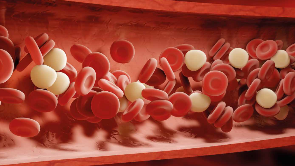 Lipid máu (mỡ máu) là gì? Những điều cần biết