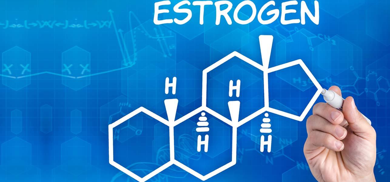 Nội tiết nữ Estrogen