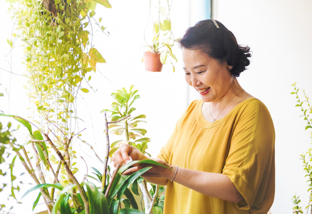 chăm sóc tinh thần giảm triệu chứng mãn kinh